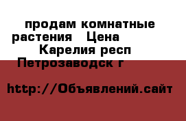 продам комнатные растения › Цена ­ 1 500 - Карелия респ., Петрозаводск г.  »    